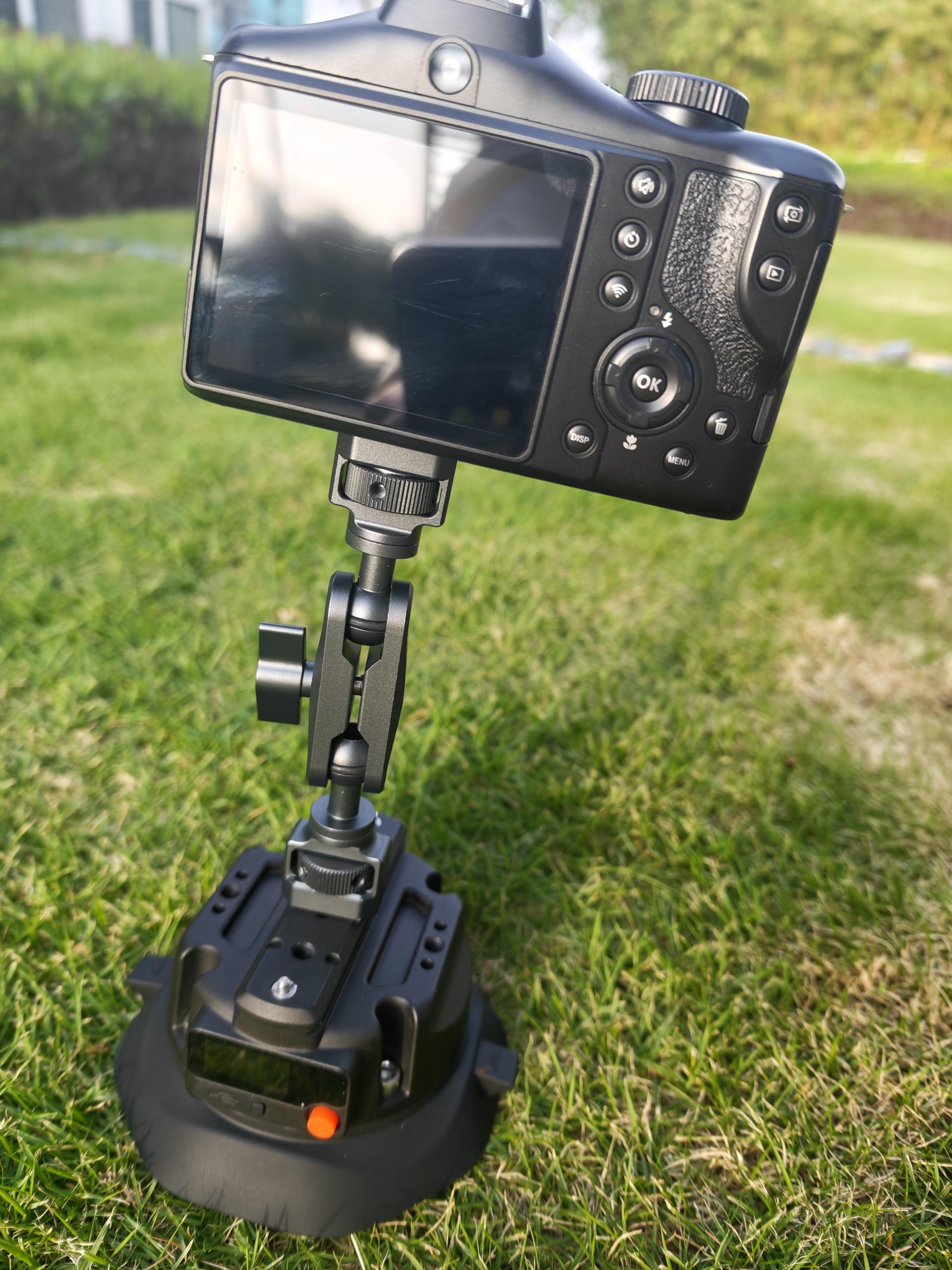 GoPro mount