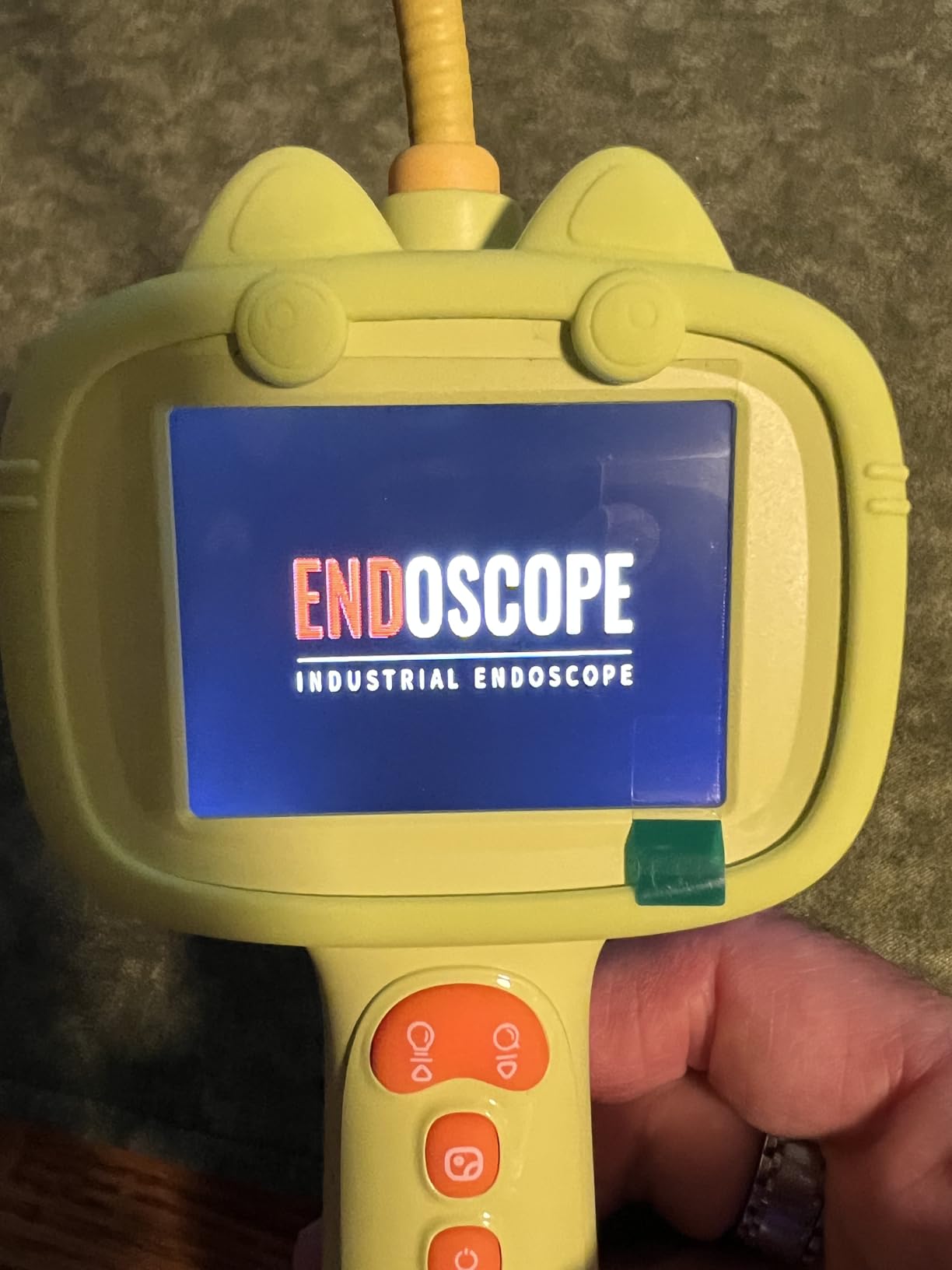 Cool for adults and kids