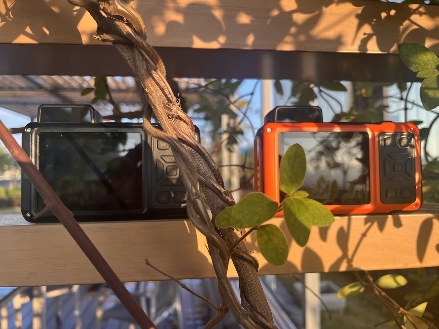 Easy-to-use little camera