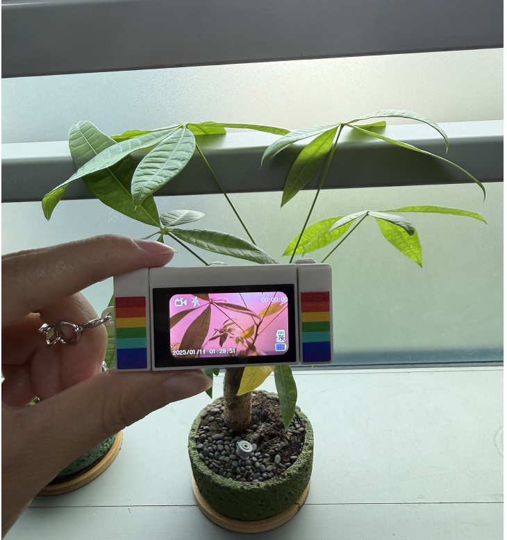 Awesome little camera