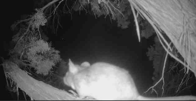 Camera with super great quality