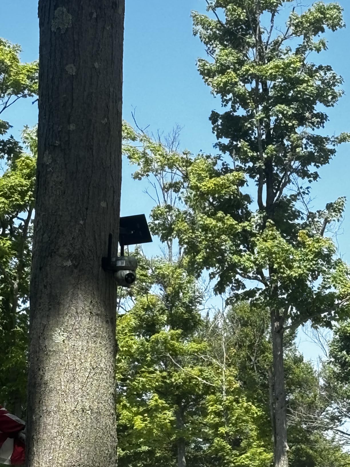 Camera with super great quality