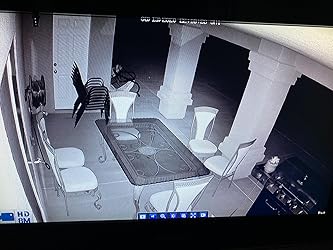 Reliable, easy to set up, and great coverage!