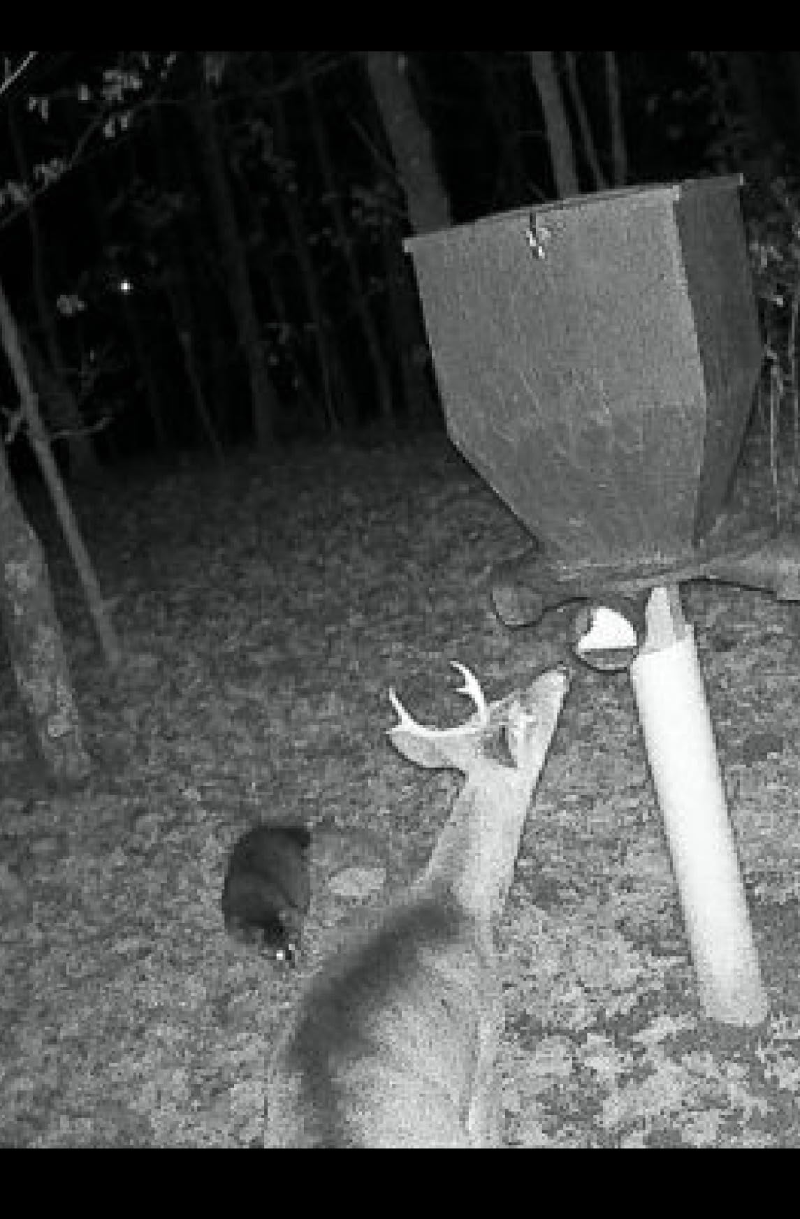 Camera with super great quality