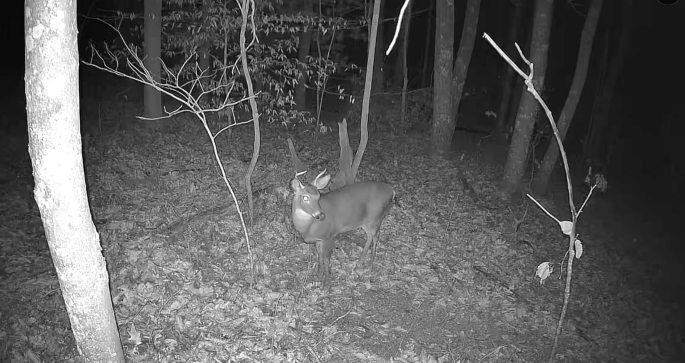 Camera with super great quality