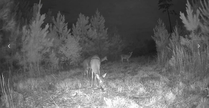 Camera with super great quality