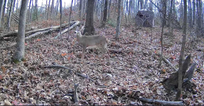 Camera with super great quality