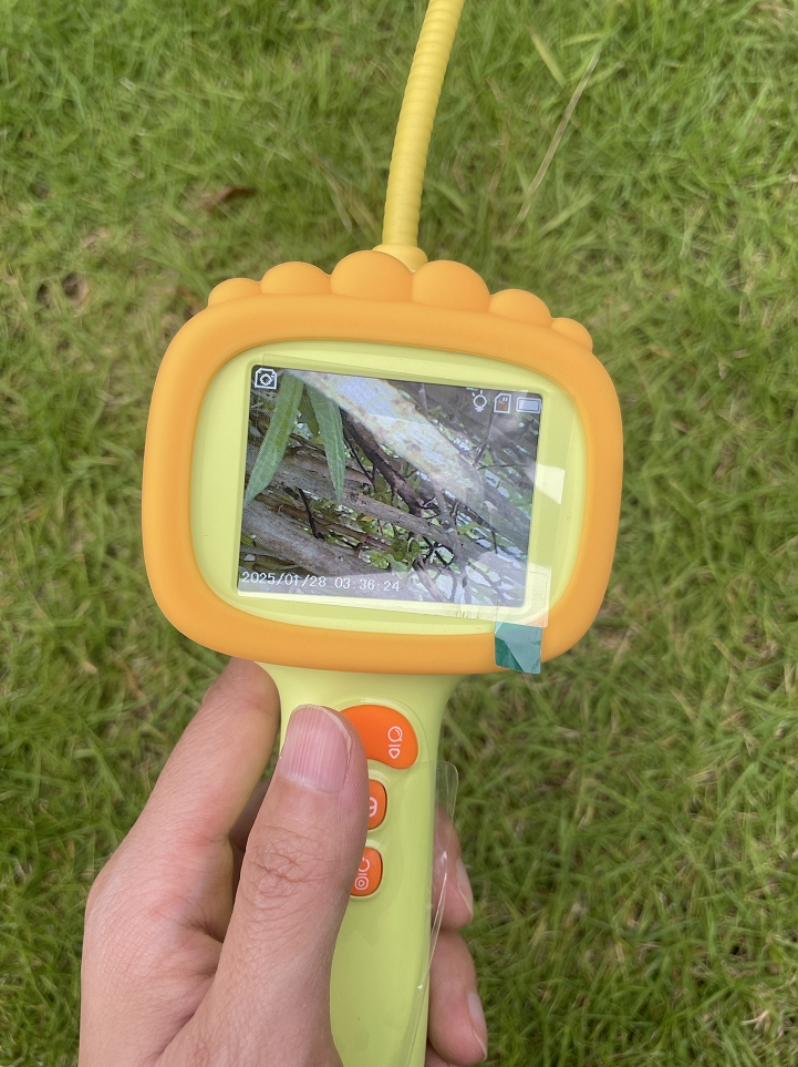 So Much Fun! Even Helped Me Find My Cat!