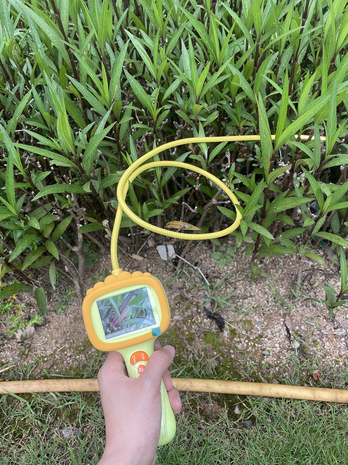 So Much Fun! Even Helped Me Find My Cat!