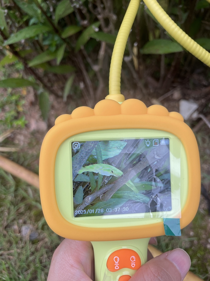 So Much Fun! Even Helped Me Find My Cat!