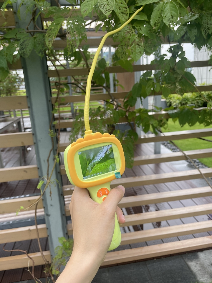 So Much Fun! Even Helped Me Find My Cat!