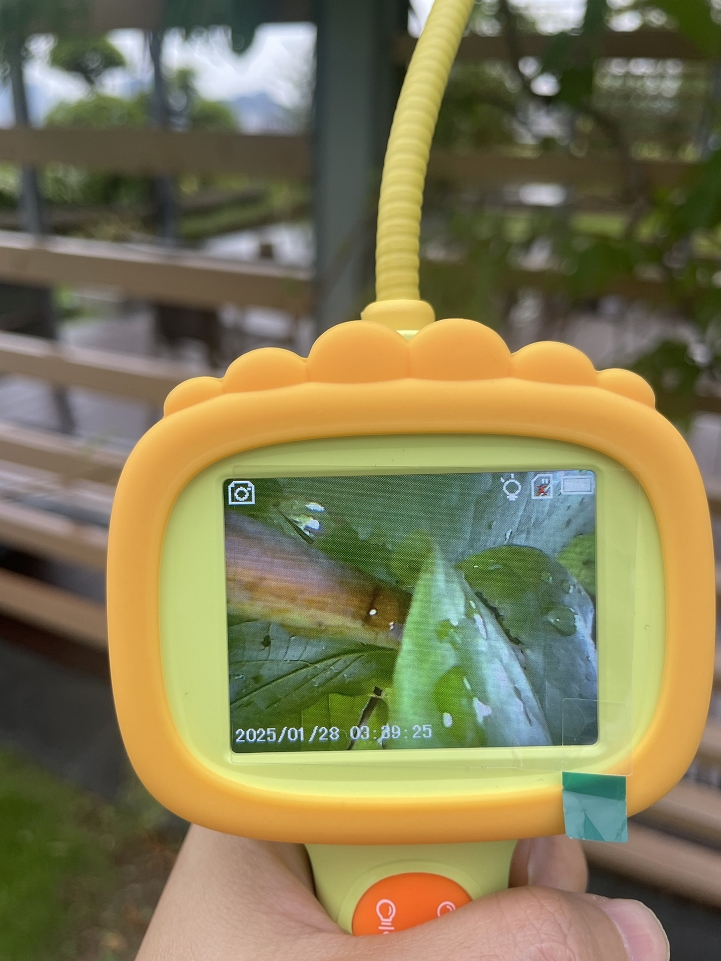 So Much Fun! Even Helped Me Find My Cat!