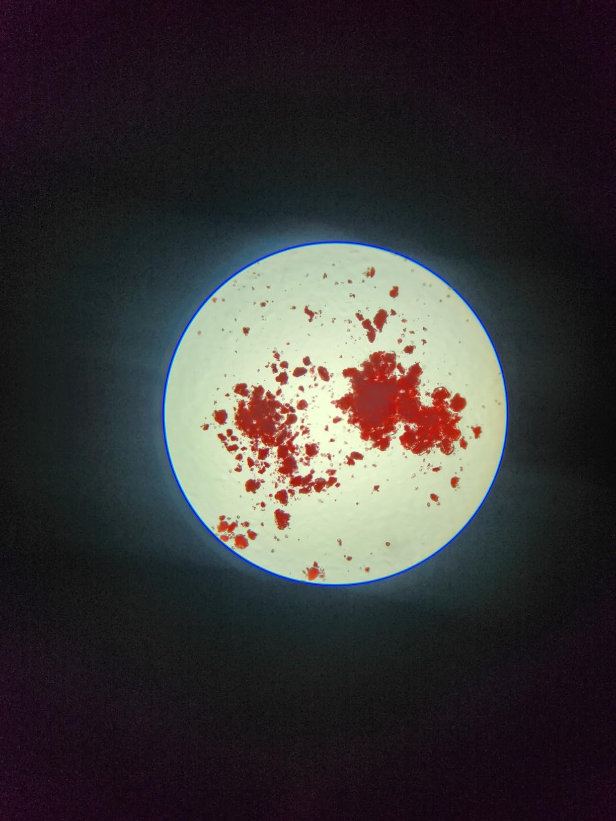 High-quality microscope